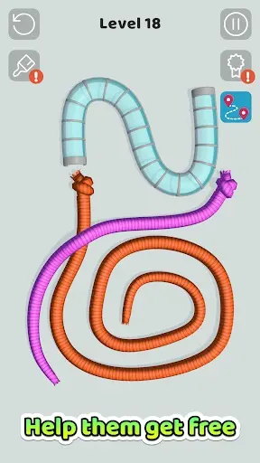 Tangled Snakes_1