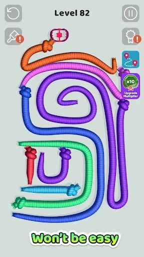 Tangled Snakes_3